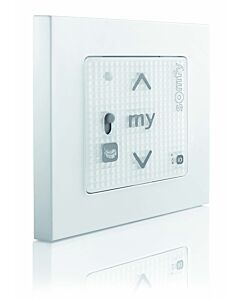 Somfy afstandsbediening voor IO-protocol | Rolluikonderdeel.nl