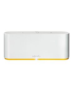 Somfy afstandsbediening voor IO-protocol | Rolluikonderdeel.nl